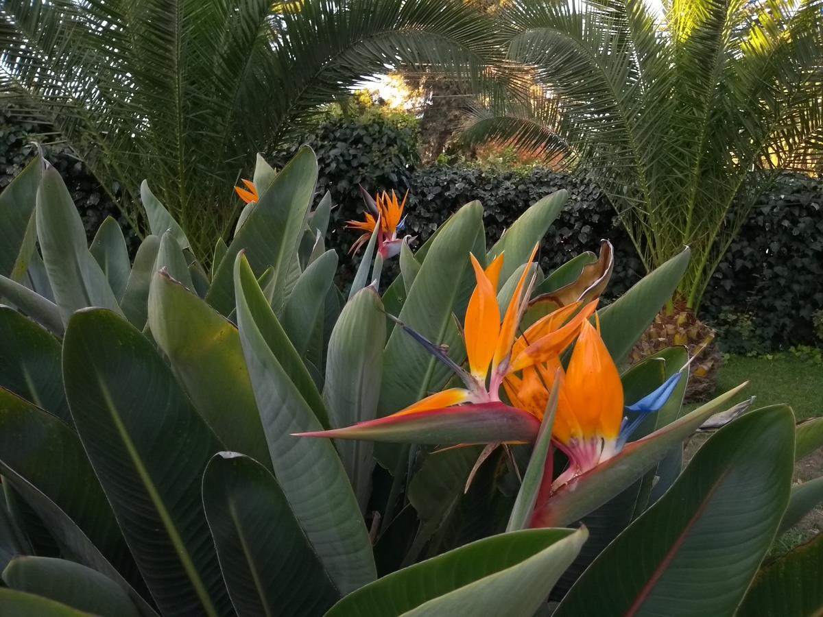 Hotel Plaza Malloa エクステリア 写真