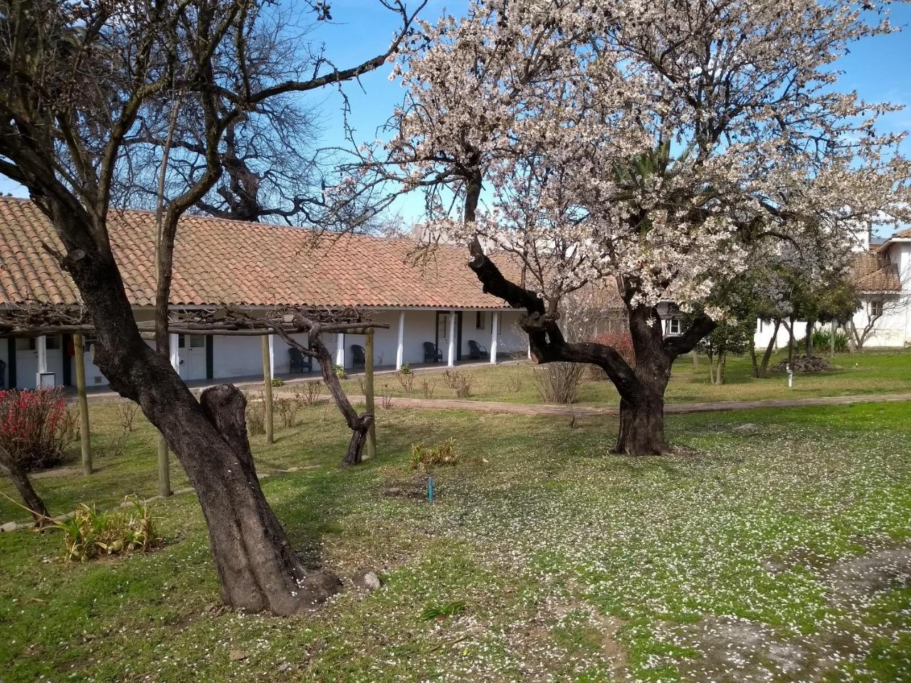 Hotel Plaza Malloa エクステリア 写真